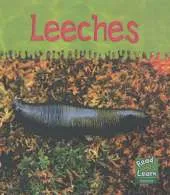 Read and Learn: Ooey-Gooey Animals - Leeches