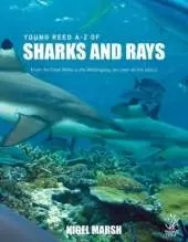A-z of Sharks and Rays: From the Great White to the Wobbegong, We Cover All the Basics