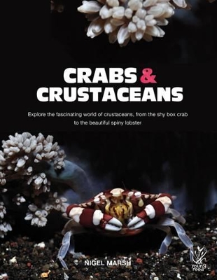 Crabs and Crustaceans