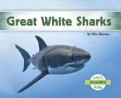 Great White Sharks