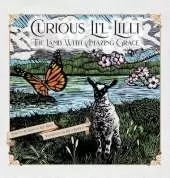 Curious Lil Lilli: The Lamb With Amazing Grace