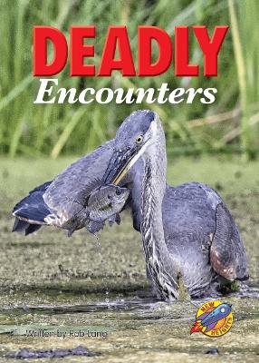 Deadly Encounters