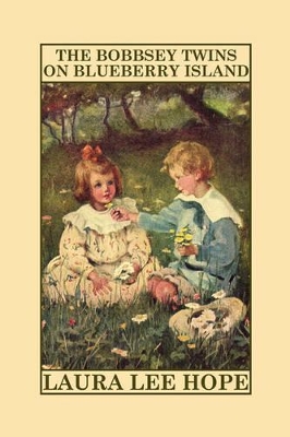 The Bobbsey Twins on Blueberry Island