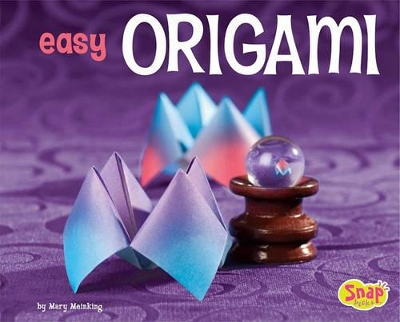 Origami Easy Origami a Step by Step Guide for Kids