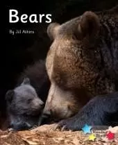 Bears: Phonics Phase 5