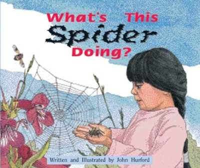 What's This Spider Doing? Level 9