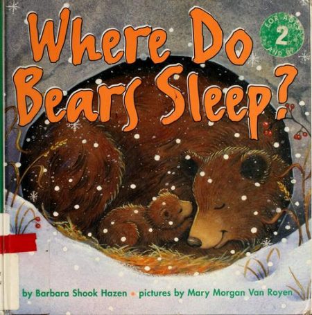 Where Do Bears Sleep?