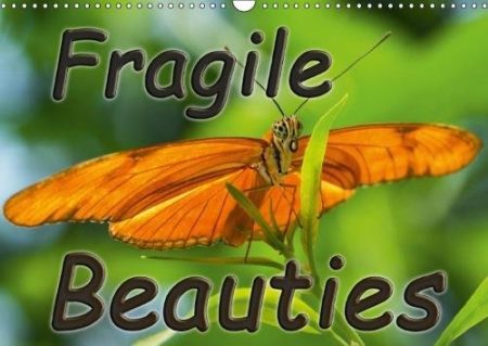 Fragile Beauties - Exotic Butterflies 2018: Spellbinding Photos of Various Exotic Butterflies in Their Natural Habitat.