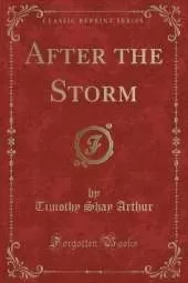 After the Storm (Classic Reprint)