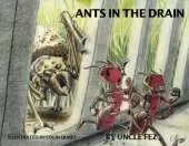 Ants in the Drain