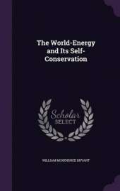 The World-Energy and Its Self-Conservation
