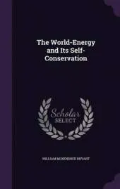 The World-Energy and Its Self-Conservation