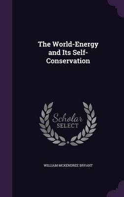 The World-Energy and Its Self-Conservation