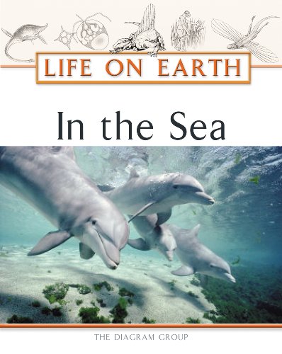 In the Sea