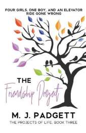 The Friendship Project