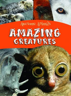Amazing Creatures
