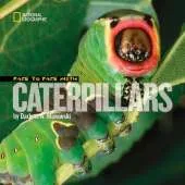 Face to Face with Catepillars