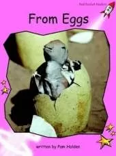 Red Rocket Readers: Pre-Reading Non-Fiction Set A: From Eggs (Reading Level 1/F&P Level A)