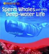 Sperm Whales and Other Deep Water Life