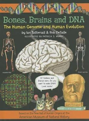 Bones, Brains and DNA Volume 1: The Human Genome and Human Evolution