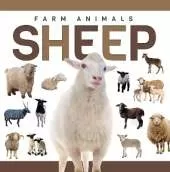 Sheep