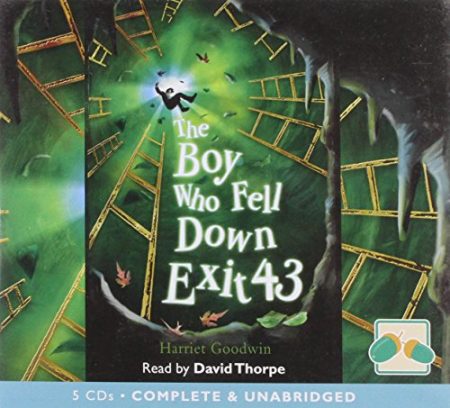 The Boy Who Fell Down Exit 43