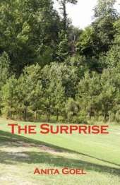 The Surprise