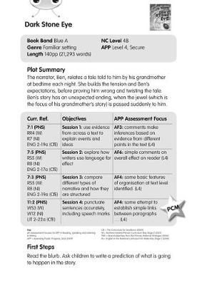 BC Blue (KS2) A/4B Dark Stone Eye Guided Reading Cards