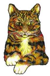 Surtsey the Cat