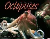 Octopuses