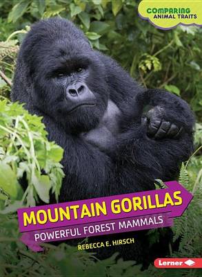 Mountian Gorillas: Powerful Forest Mammals