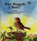 Pwy Wnaeth y Bore?