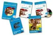 Read Write Inc.: Literacy & Language: Year 3 Easy Buy Pack