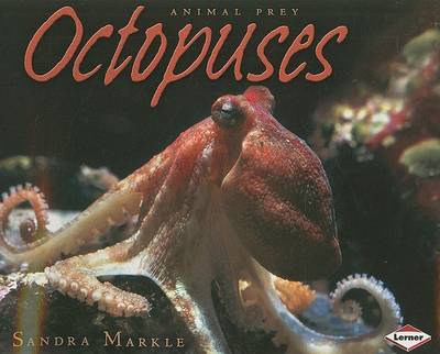 Octopuses