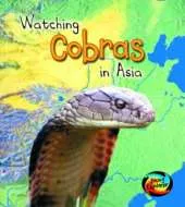 Watching Cobras in Asia