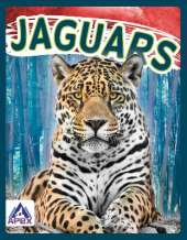 Jaguars