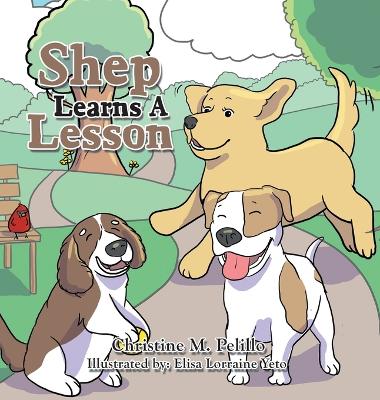 Shep Learns A Lesson