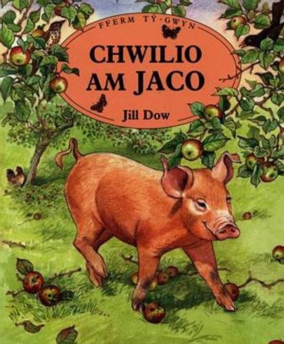 Chwilio am Jaco