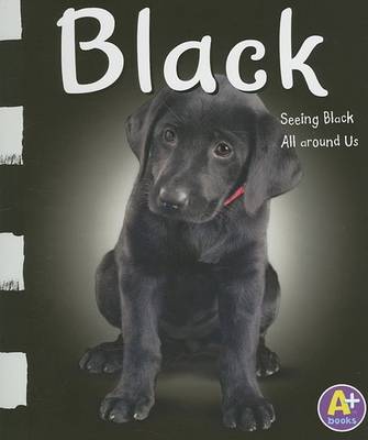 Black: Seeing Black All Around Us