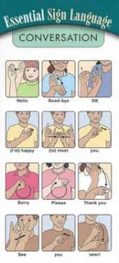 Pocket Guide Conversation: 15-pack