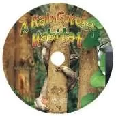 A Rainforest Habitat