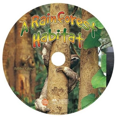 A Rainforest Habitat