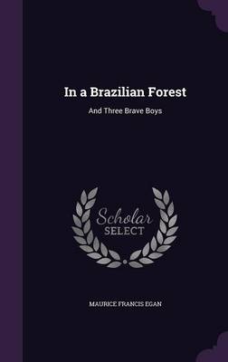 In a Brazilian Forest: And Three Brave Boys