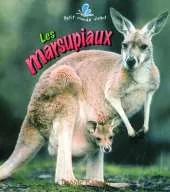Les Marsupiaux