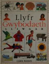 Llyfr Gwybodaeth Lliwgar