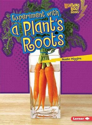 Experiment with a Plants Roots