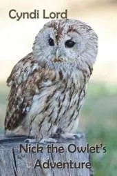 Nick the Owlet's Adventure