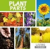 Plant Parts