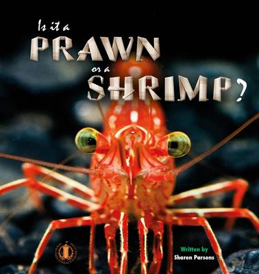 Is it a Prawn or a Shrimp?