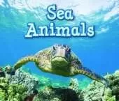Animals in their Habitats Pack A of 6